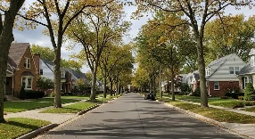 Tree-lined residential street with sidewalks and established homes