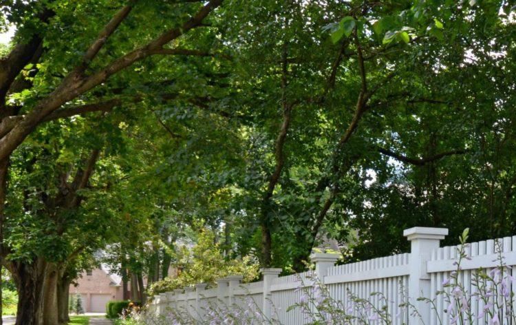 Ann Arbor residential home